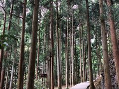 -雁荡山风景名胜区
