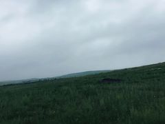 -御道口草原森林风景区