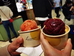 -LUNEURS月乐诗·法式冰淇淋(环贸店)