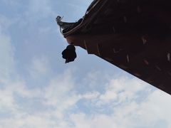 -城隍阁