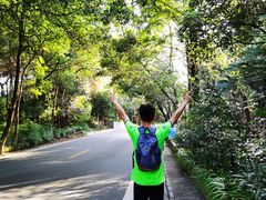 -铁山坪森林公园