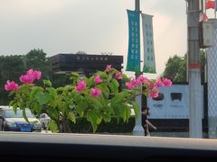 -剪刀石头布家居广场