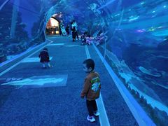 -成都浩海立方海洋公园