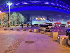 -沈阳奥体冰雪嘉年华