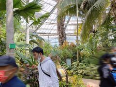 -华南国家植物园-售票处