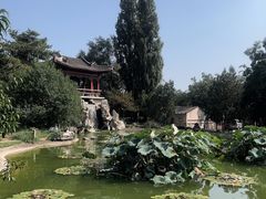 -国家植物园南园