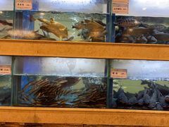 -围龙屋客家食府(福田店)