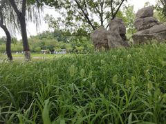 -石家庄市植物园