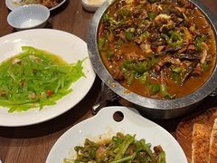 -俭寨大盘鸡·新疆菜·烧烤(博乐店)