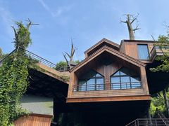 -杭州开元森泊度假乐园