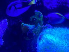 -太平洋海底世界