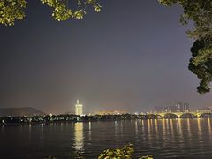 -杜甫江阁