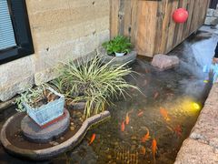 -老李家土菜馆·安吉地标美食