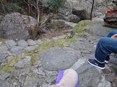 -白云源风景区