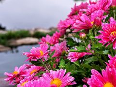 -国家植物园