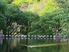 -少华山国家森林公园