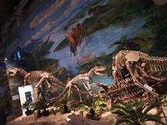 -自贡恐龙博物馆