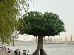 -咸阳湖景区