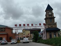-哈素海