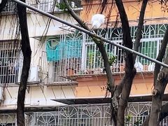 -晓港公园