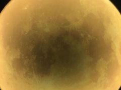 -深圳独角兽星空艺术馆