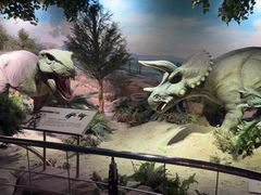 -国家自然博物馆