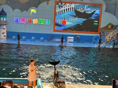 -蓬莱欧乐堡海洋极地世界
