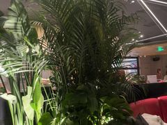 -拉蒂娜·巴西牛排馆 Latina·Brazilian Steakhouse(王府井喜悦店)