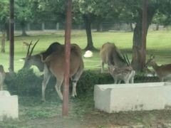 -西安秦岭野生动物园
