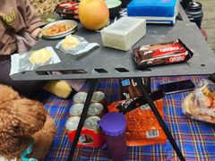 -素山寺森林公园