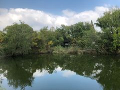 -西溪国家湿地公园