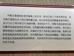 -安阳博物馆