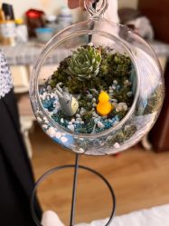 -芙蓉花月子会所(朝阳区店)