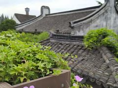 -乌镇景区