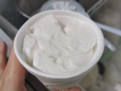 -洪馨椰子