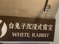 -白兔子密室(长寿路店)