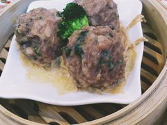陈皮蒸牛肉球-点都德(千灯湖环宇城店)