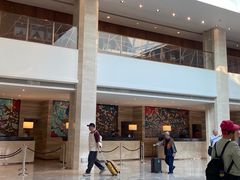 -广州白天鹅宾馆