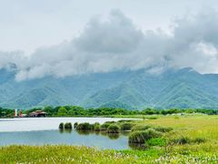 -大九湖