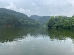 -黔灵山公园