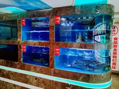 水产区-巴特餐饮6加1音乐餐吧·新疆菜