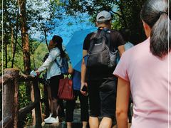 -广州白江湖森林公园