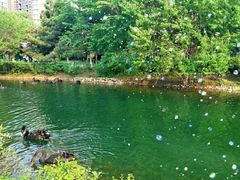 -长白岛森林公园