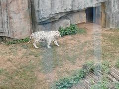 -无锡动物园·太湖欢乐园