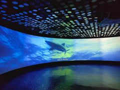 -同济大学四平路校区深海探索馆