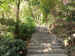 -火炉山森林公园