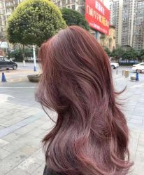 -首艺美发