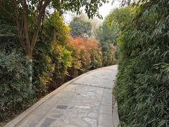 -西安汉城湖景区