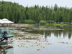 -白鹭湾湿地公园