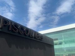 -巴塞罗那约瑟·塔拉德利亚斯-埃尔·普拉特机场